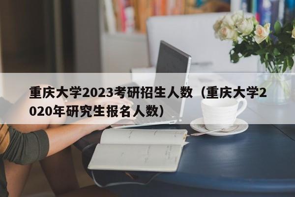重庆大学2023考研招生人数（重庆大学2020年研究生报名人数）