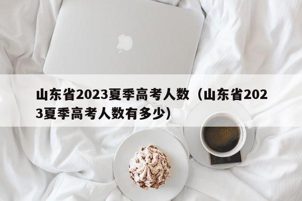 山东省2023夏季高考人数（山东省2023夏季高考人数有多少）